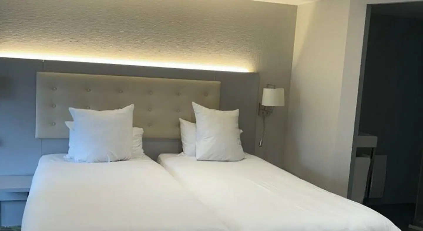 Logis Hôtel du Parc ROOM_EXAMPLE