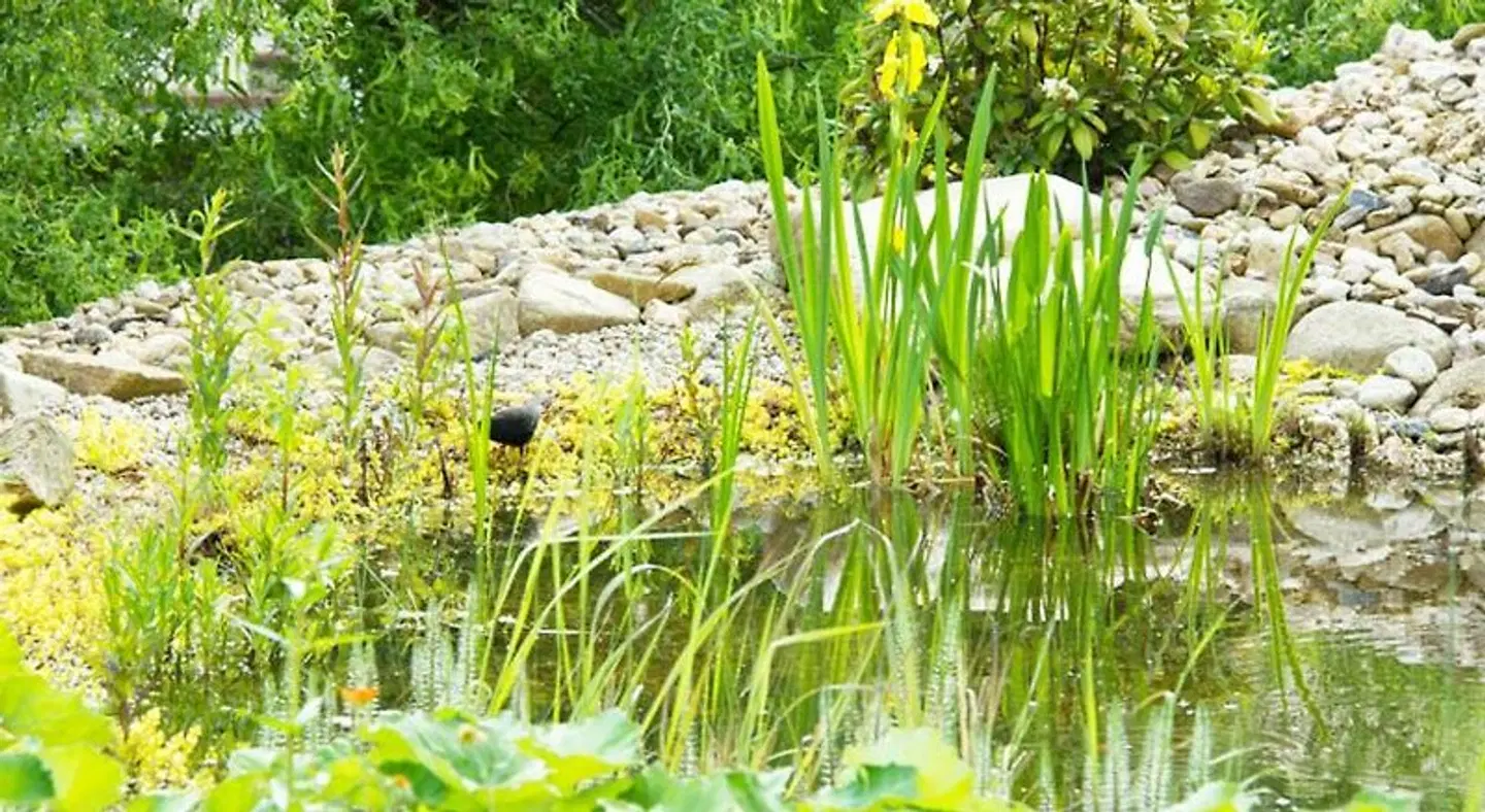 Schloßblick Garten