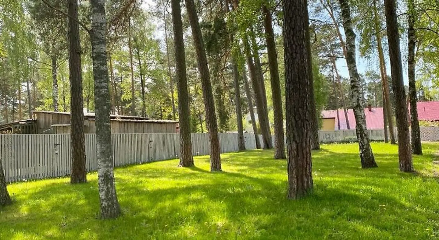 Pine Resort Garten
