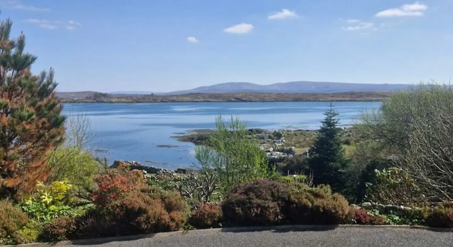 Rossroe Lodge B&B LANDSCAPE