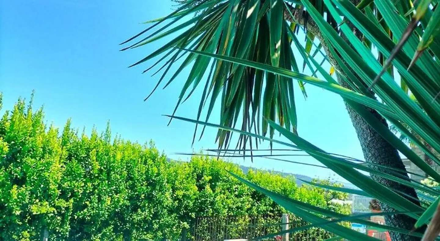 Quinta de Castelhão LANDSCAPE