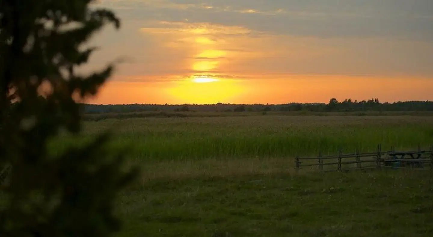 Dagen Haus Guesthouse LANDSCAPE