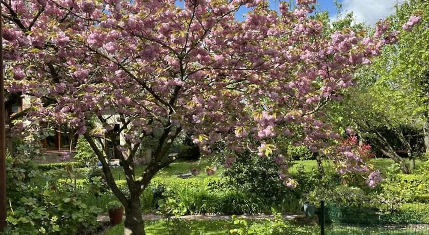 Comme Une Parenthèse Garten