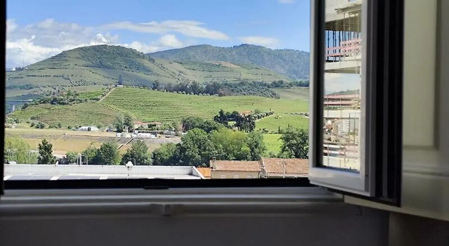 Casa do Salgueiral Douro LANDSCAPE