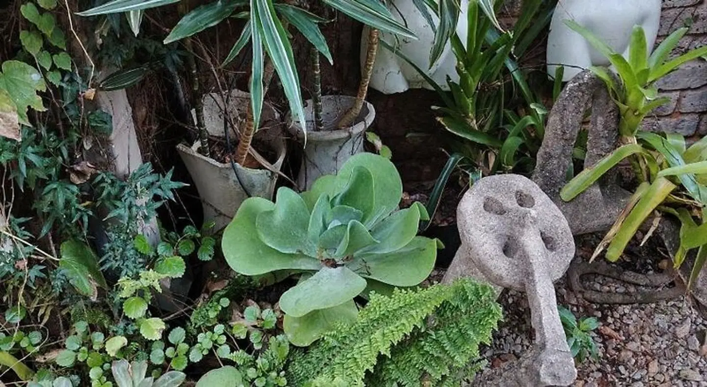 The Art Guesthouse Tiere