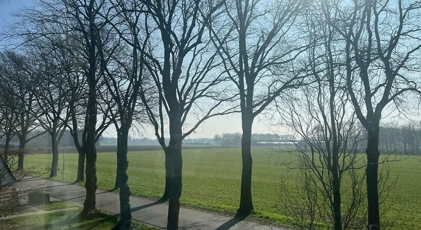 Brinkesdiek LANDSCAPE