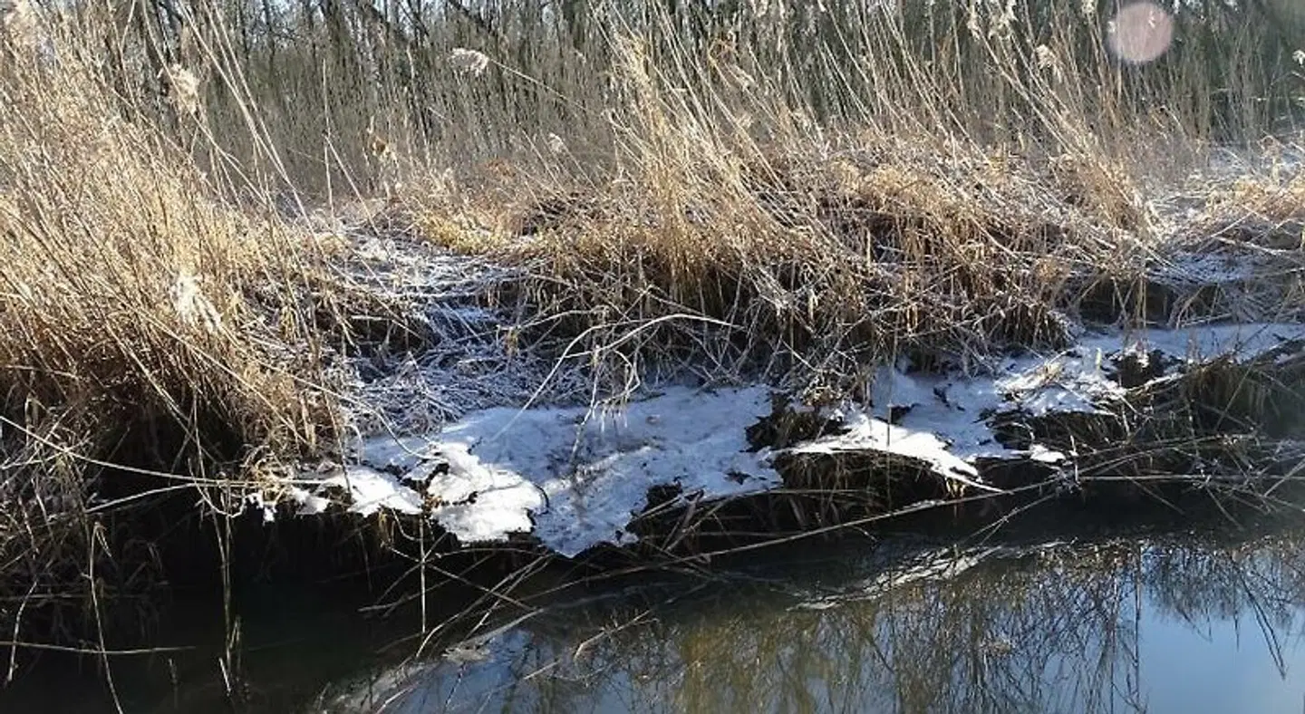 De Oude Stoffeerderij LANDSCAPE