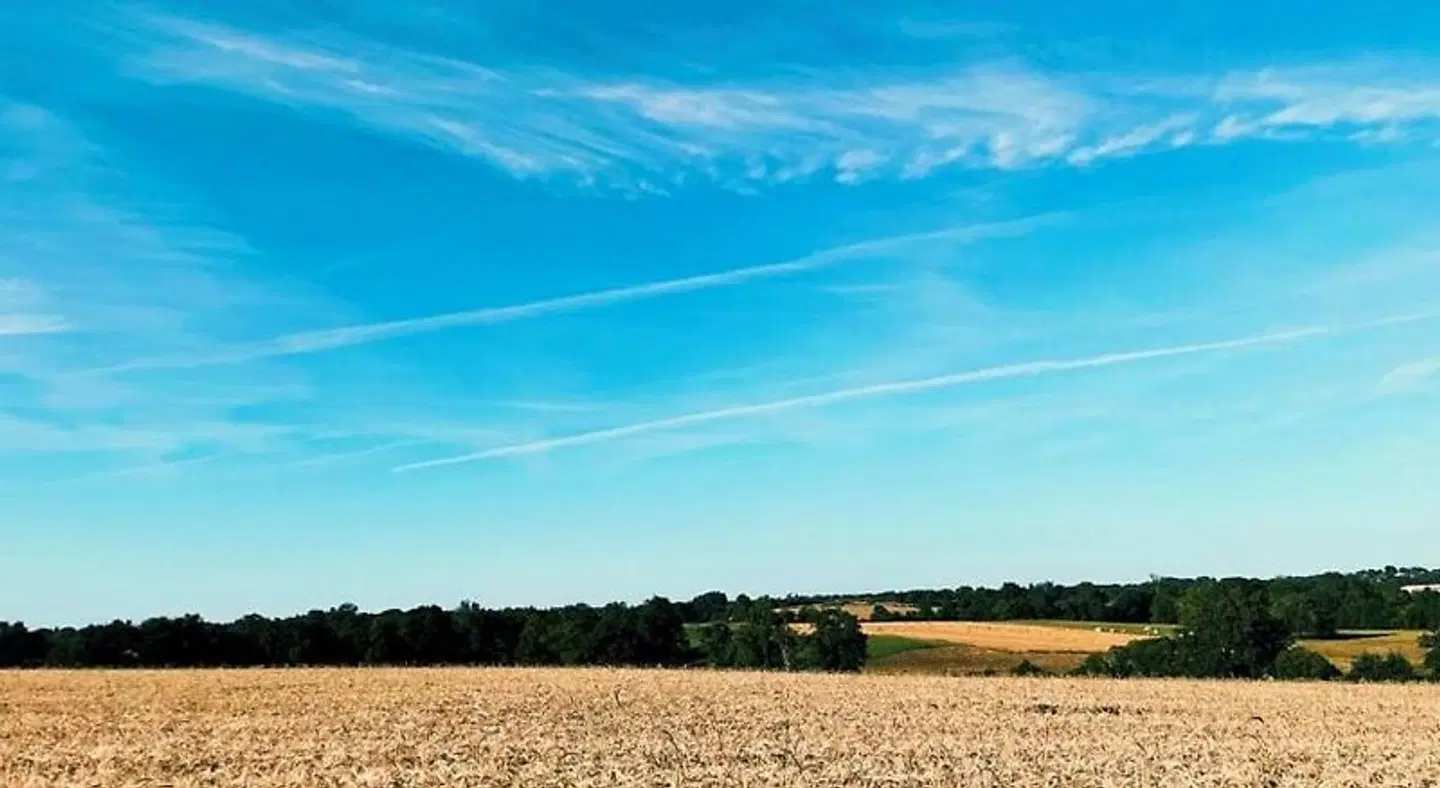 La Petite Félixière LANDSCAPE
