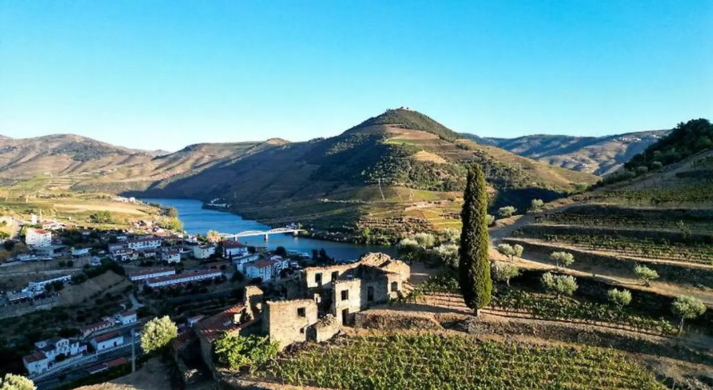 Dois Lagares House LANDSCAPE