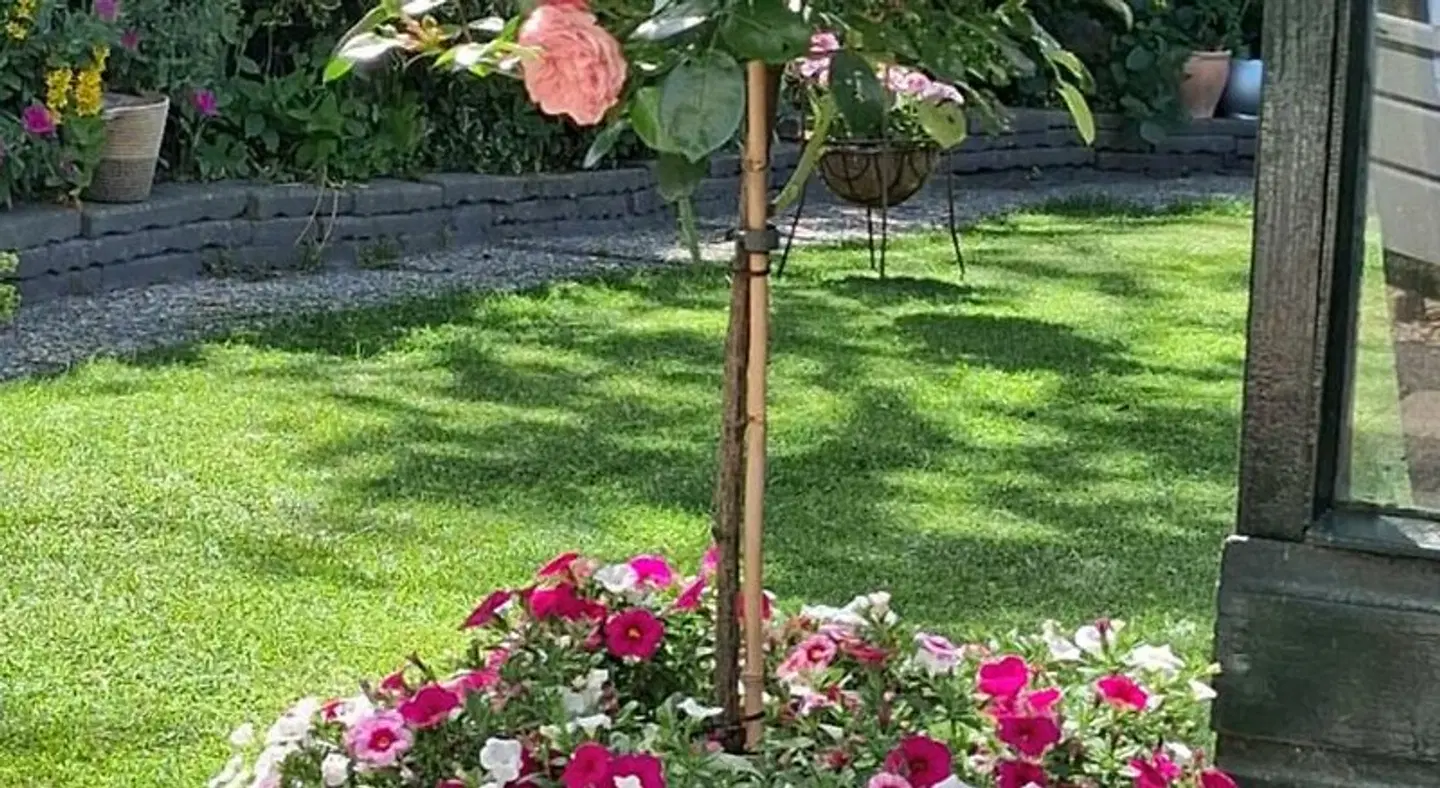 Familie Postma B&B Anjum Garten