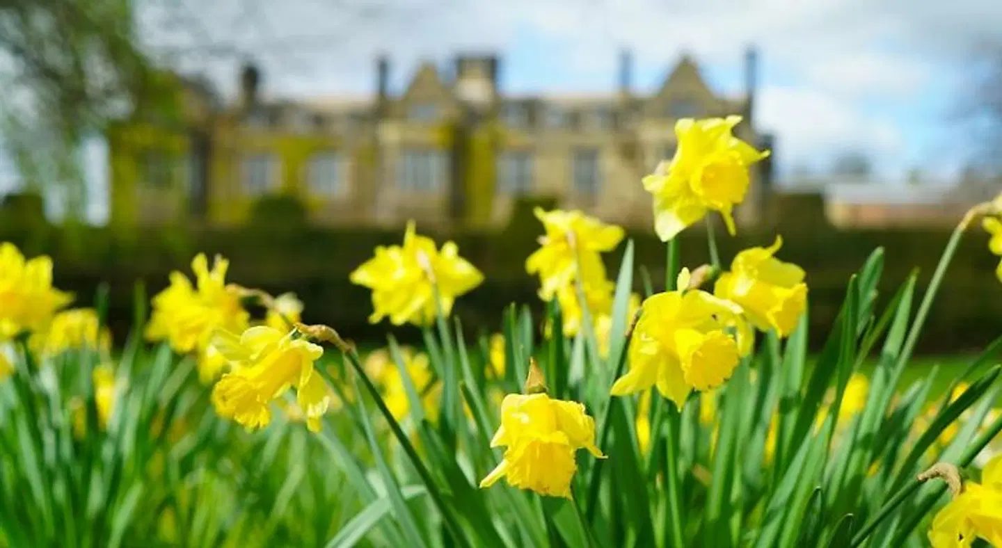 Gisborough Hall LANDSCAPE