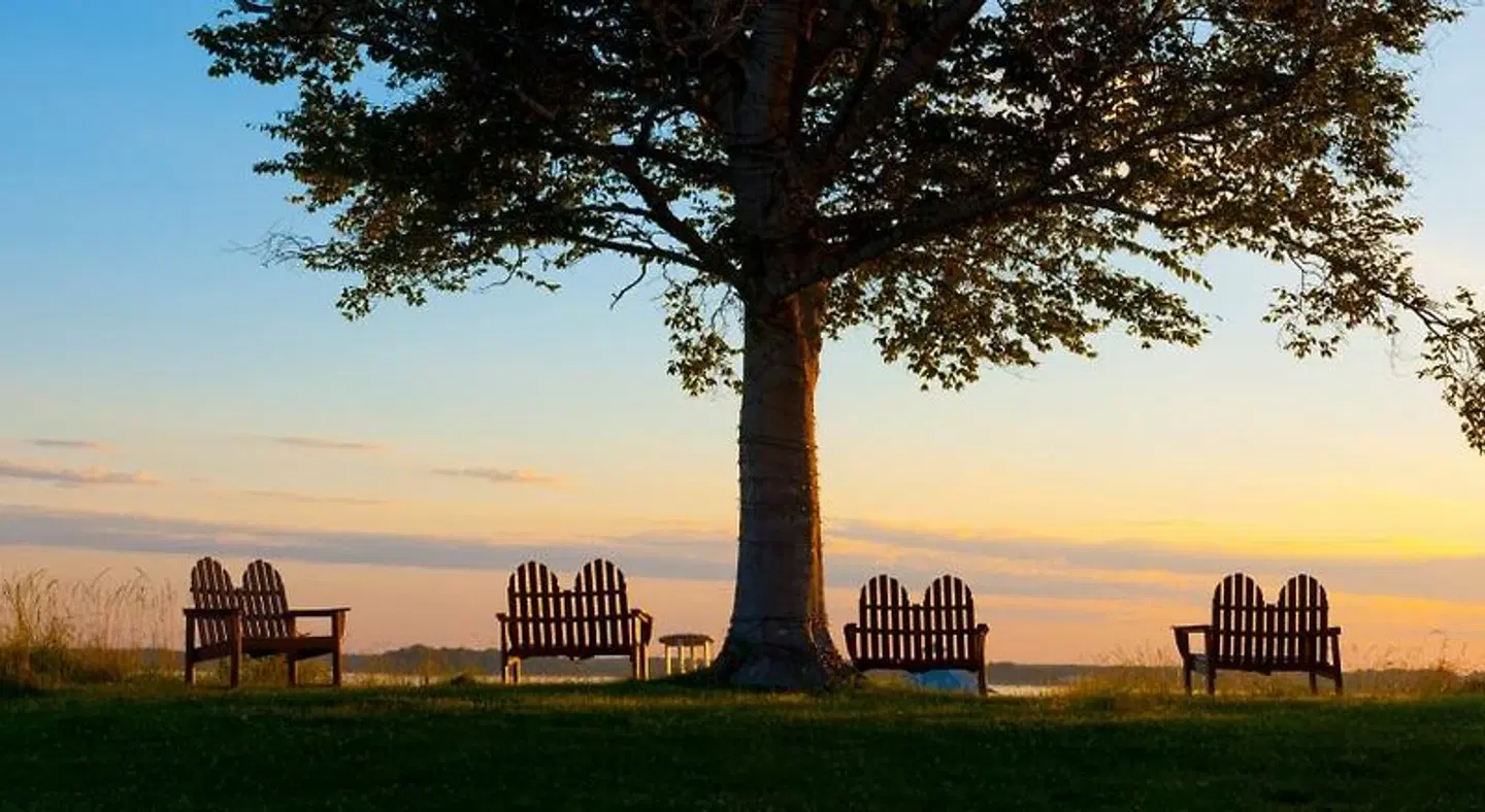Hyatt Regency Chesapeake Bay Golf Resort, Spa & Marina LANDSCAPE
