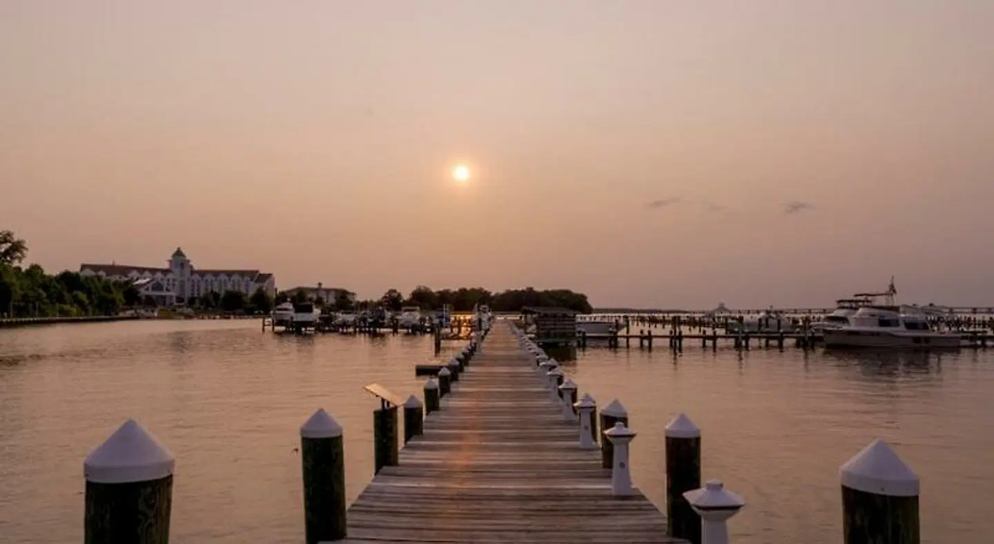 Hyatt Regency Chesapeake Bay Golf Resort, Spa & Marina LANDSCAPE