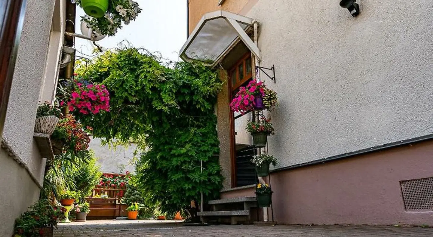 Pension Borna EXTERIOR