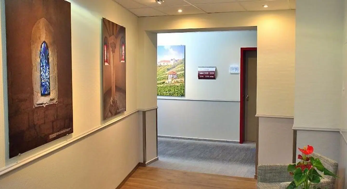 Hotel Zur Alten Schmiede ROOM_EXAMPLE