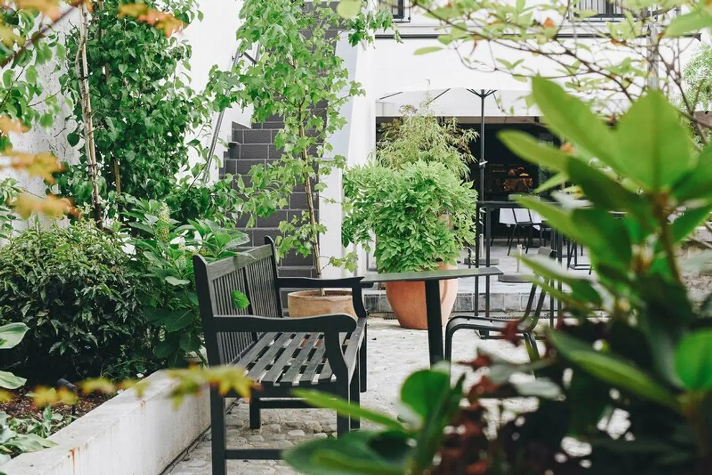 Hotel FRANQ Terrasse