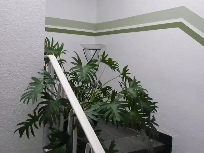 sechzehn – Hotelfoto