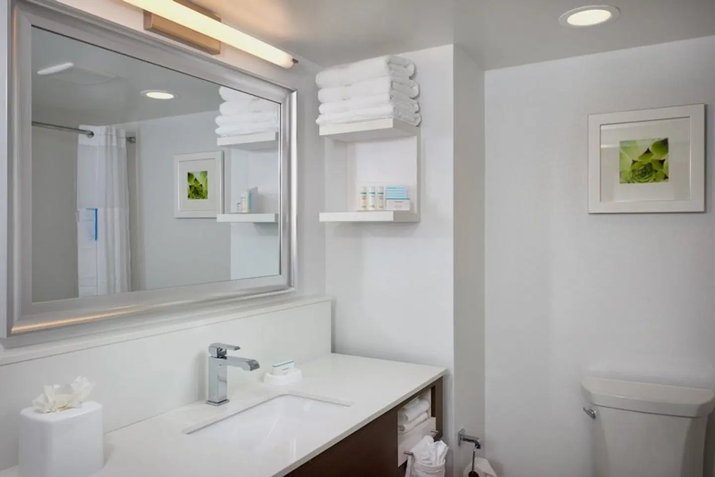 Hampton Inn & Suites Phoenix/Scottsdale on Shea Boulevard Badezimmer
