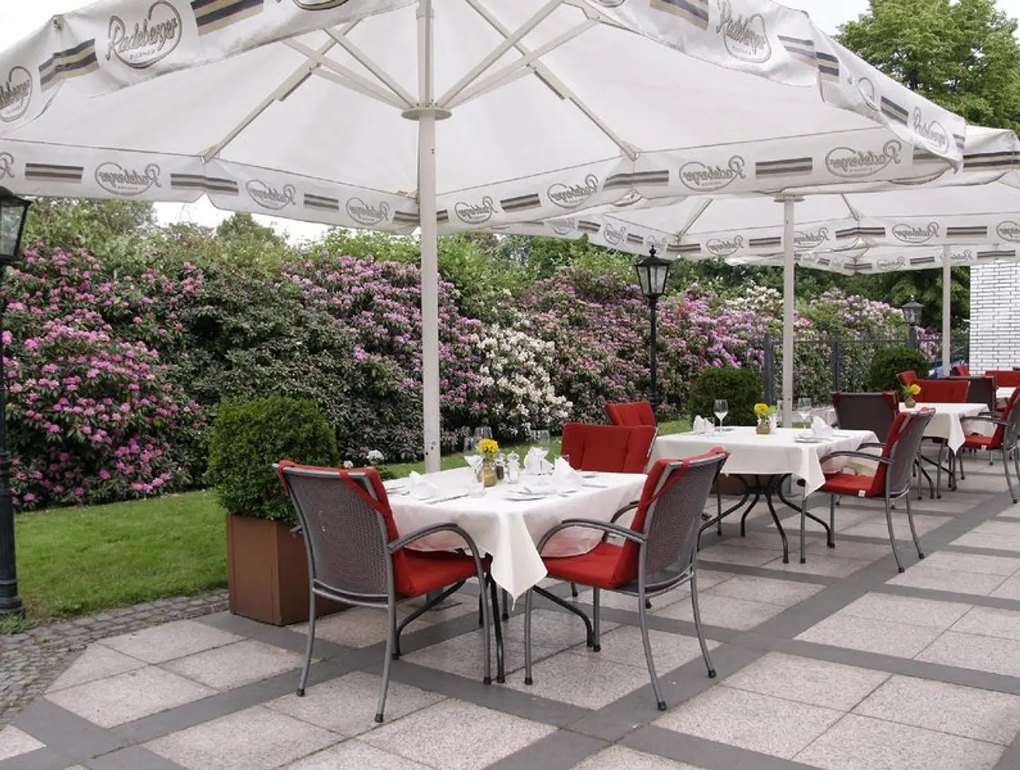 Wittekindshof Terrasse