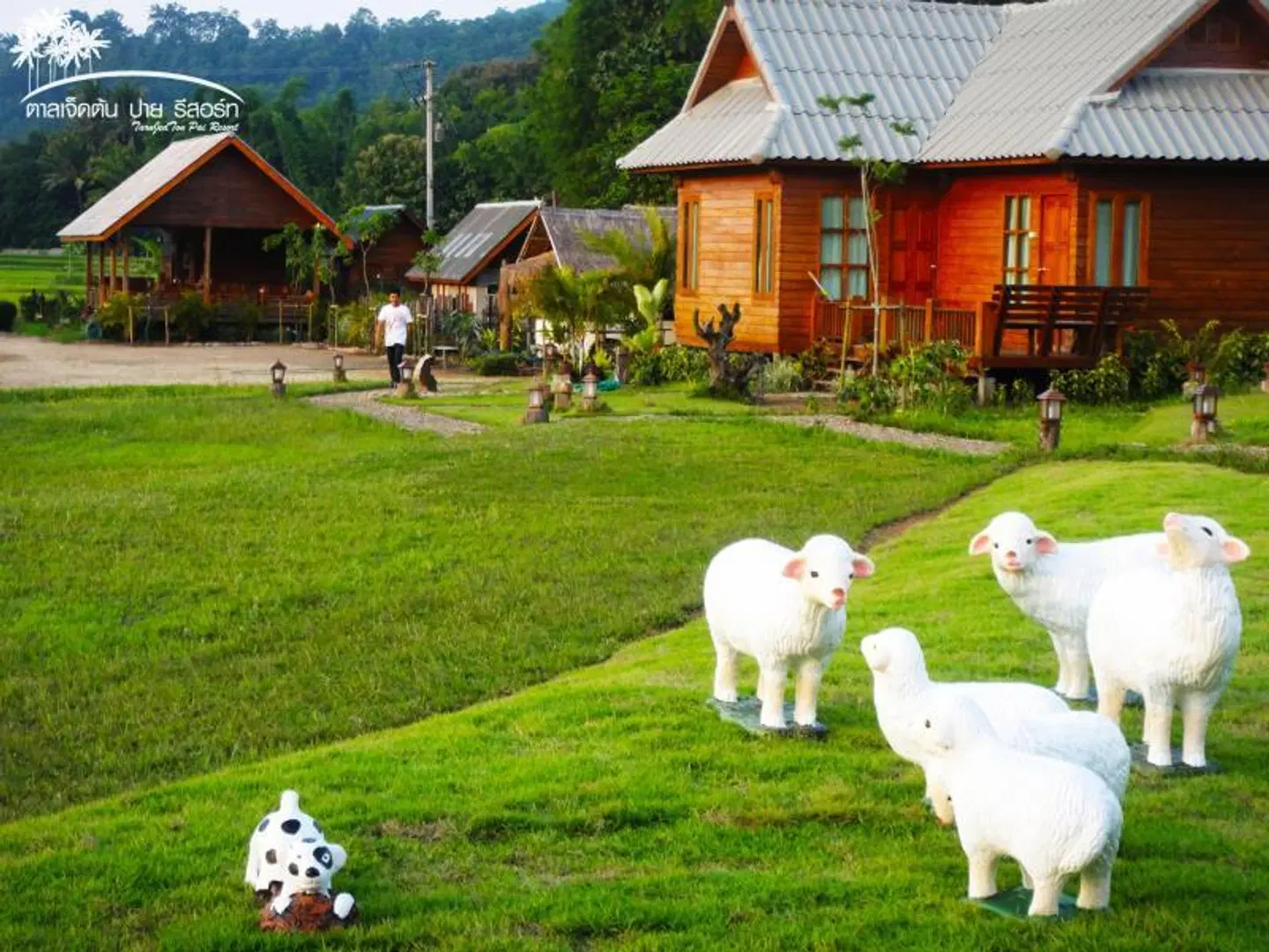 Tarnjedton Pai Resort Tiere