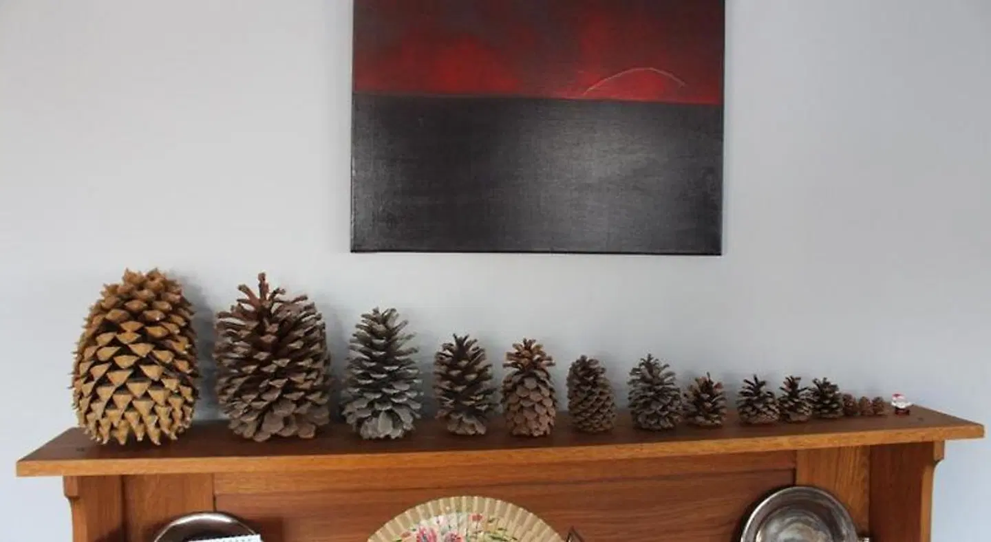 The Mackenzie Apartments Terrasse