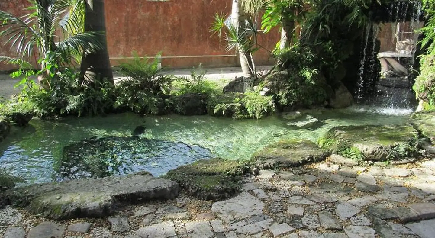 Hoosville Hostel Garten