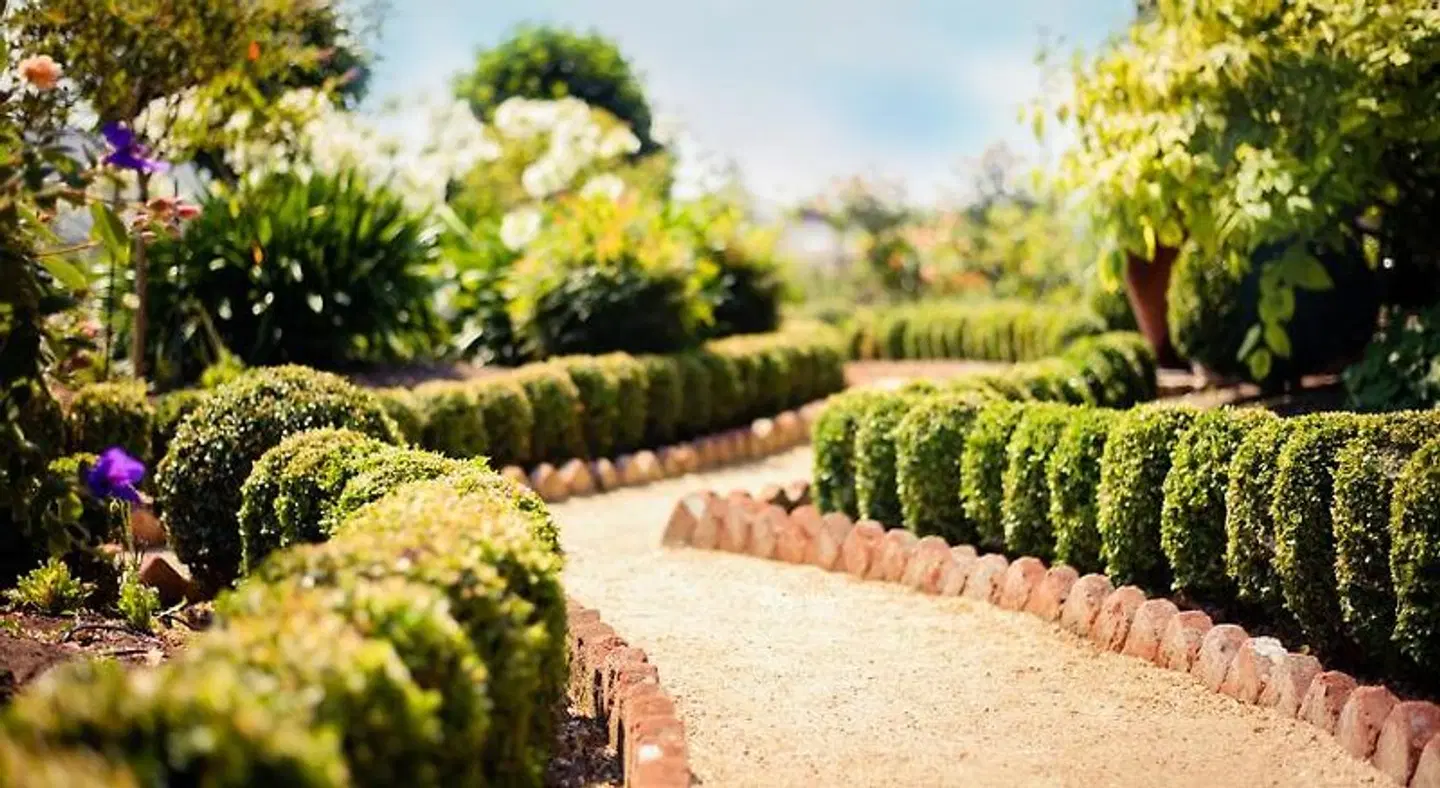 Napa River Inn Garten