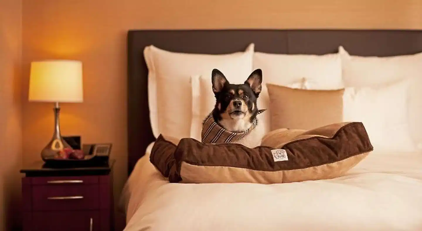 Hyatt Place Tempe/Phoenix Airport Wohnbeispiel