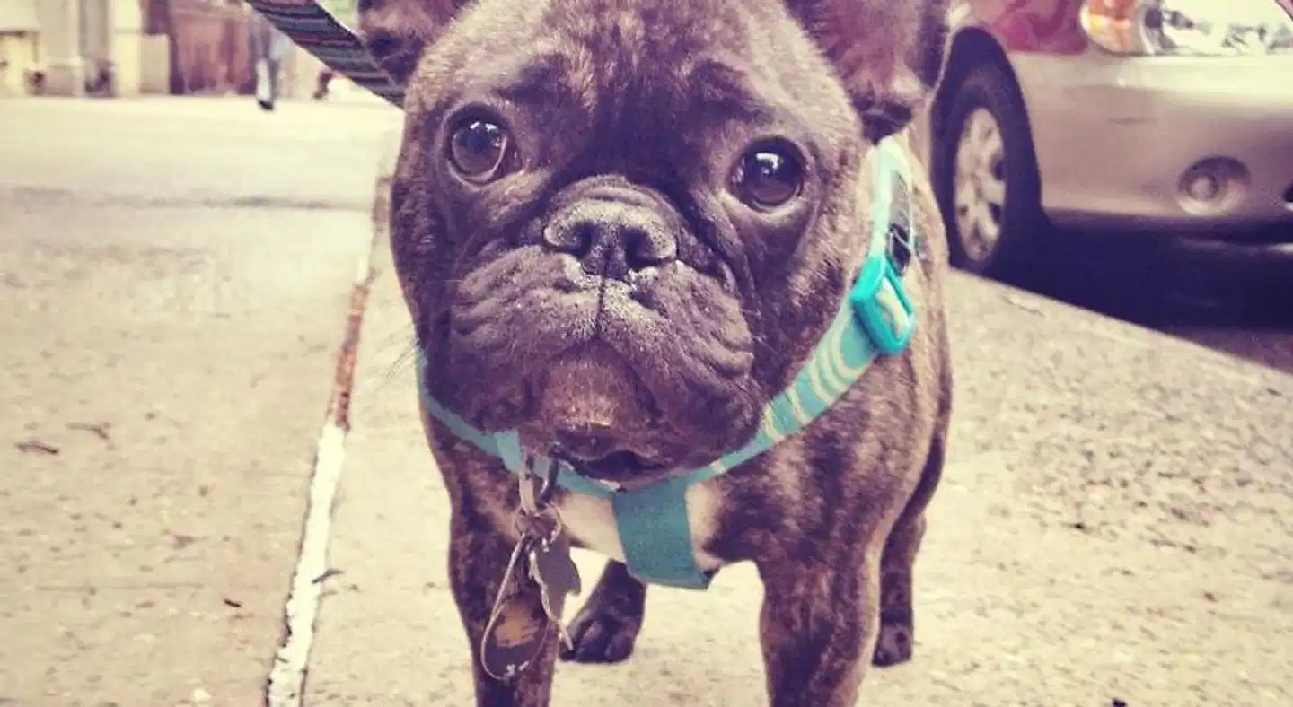 Hyatt Centric Downtown Portland Tiere