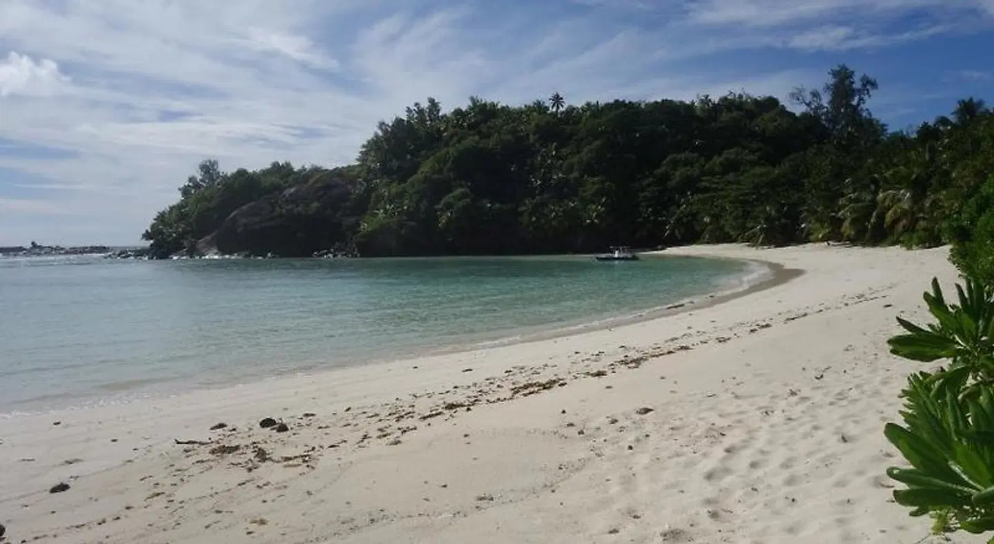 Forest Lodge Strand