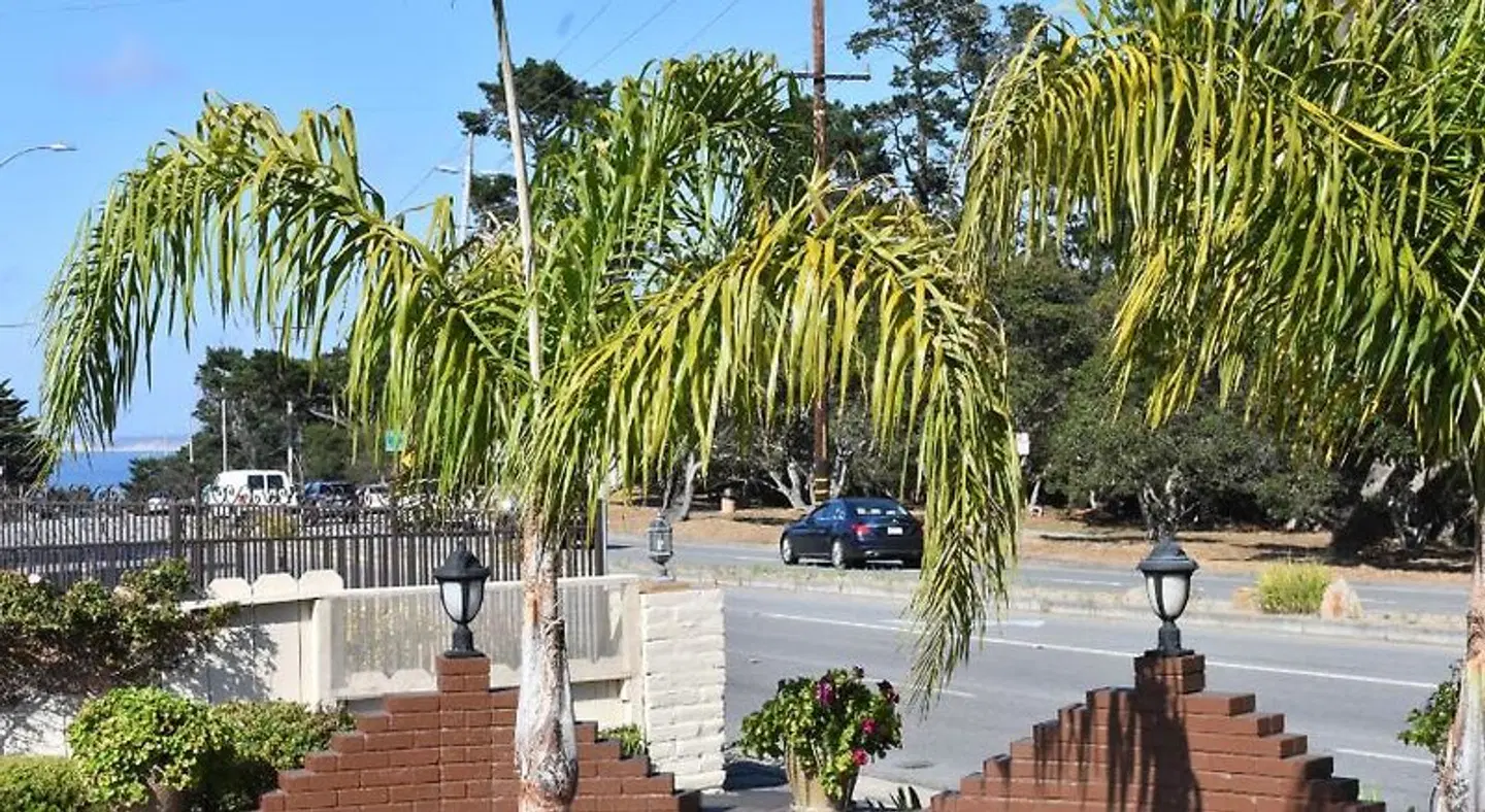 Padre Oaks Terrasse