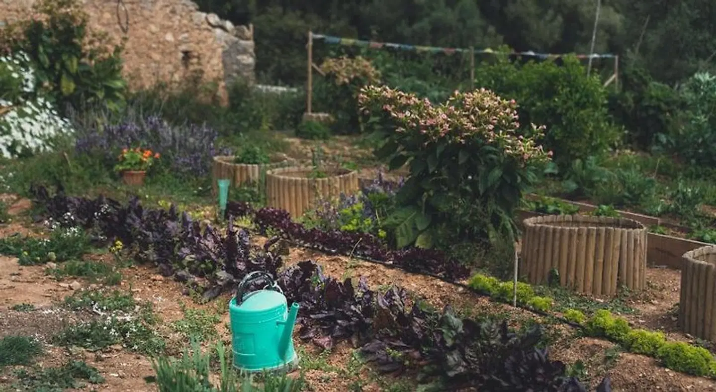 Son Mesquida Vell Garten