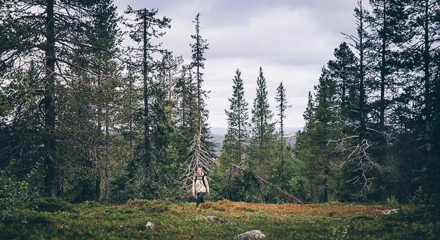 Lapland Hotel Riekonlinna Garten