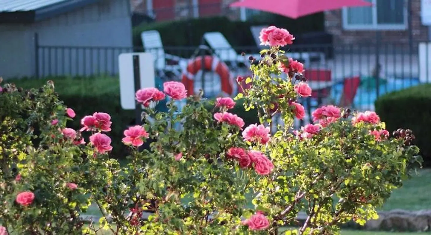 Days Inn by Wyndham Show Low Garten