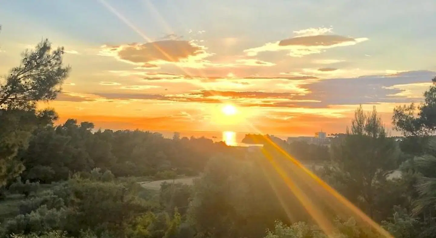 sanidiamonds LANDSCAPE