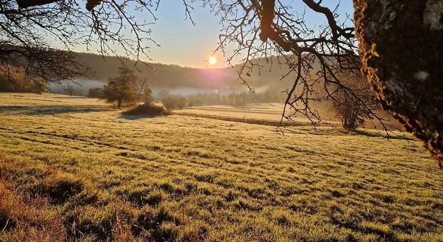 Eventhof Platzhirsch LANDSCAPE