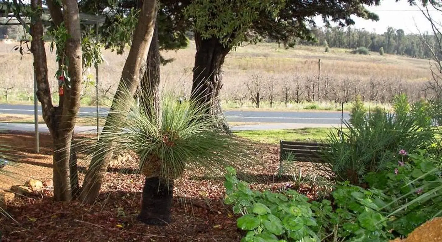 Farview Guest Accommodation Garten