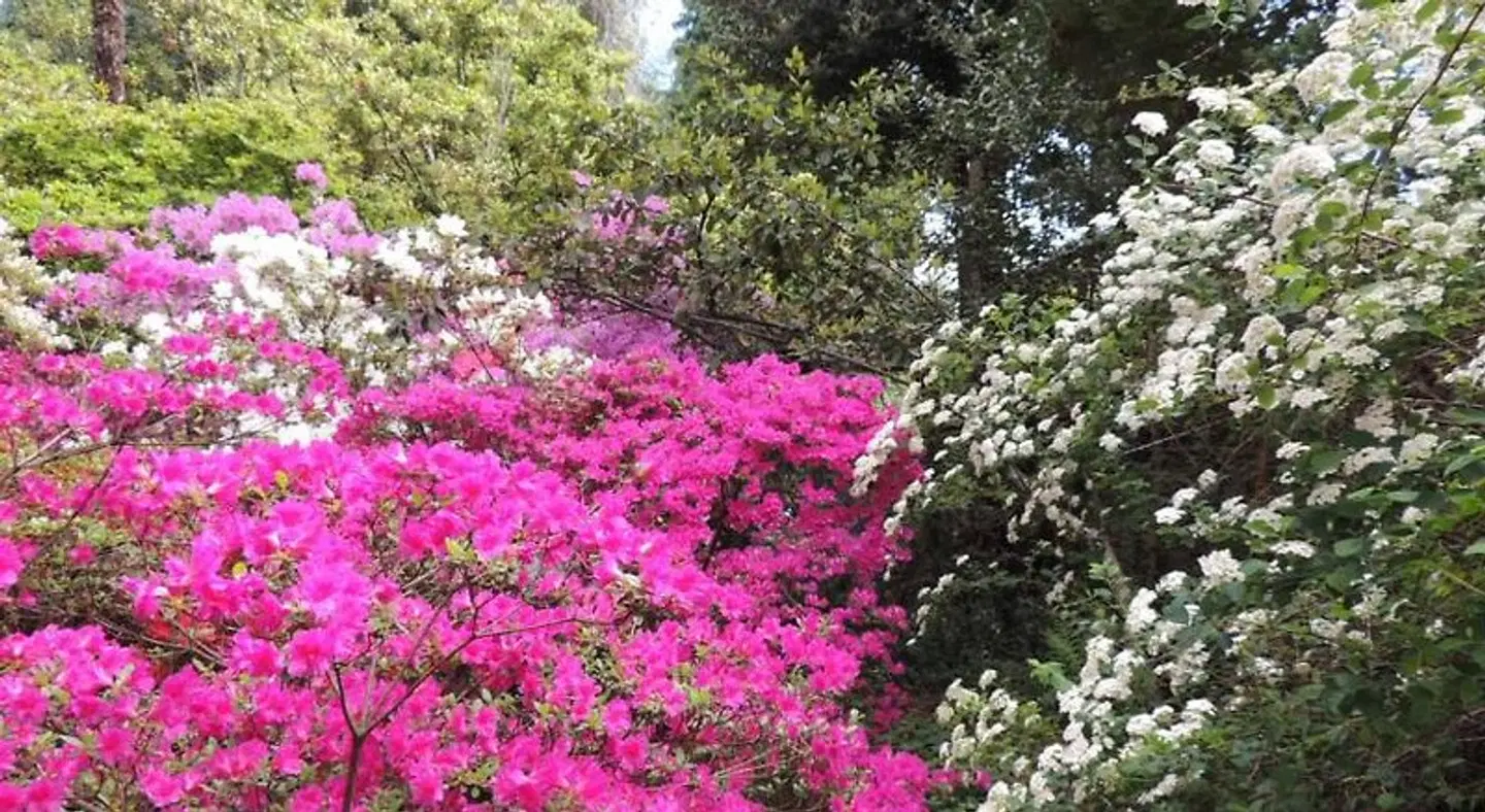B&B Villa Margherita Garten