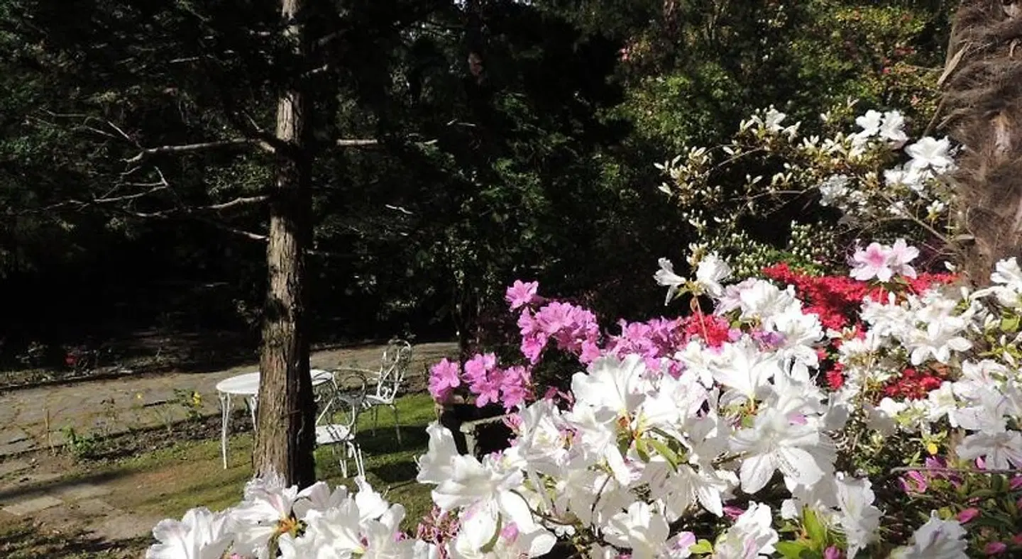 B&B Villa Margherita LANDSCAPE