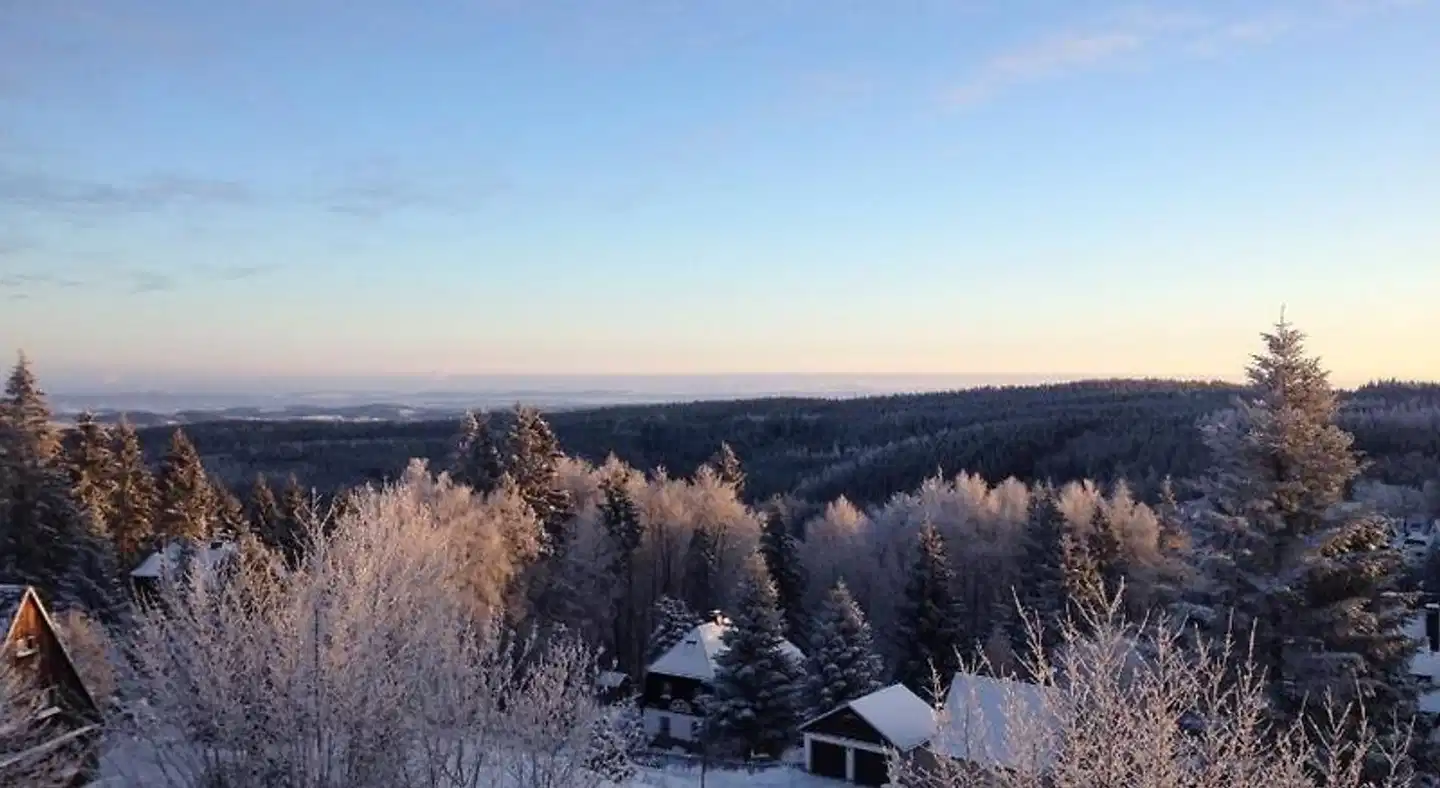 Ahornallee Landschaft