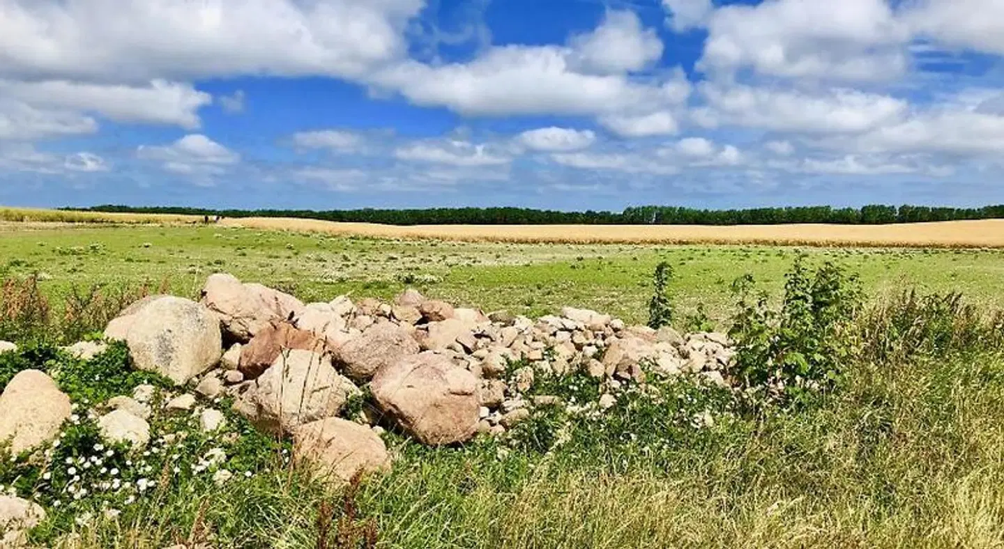 Haus Johanneshorst LANDSCAPE