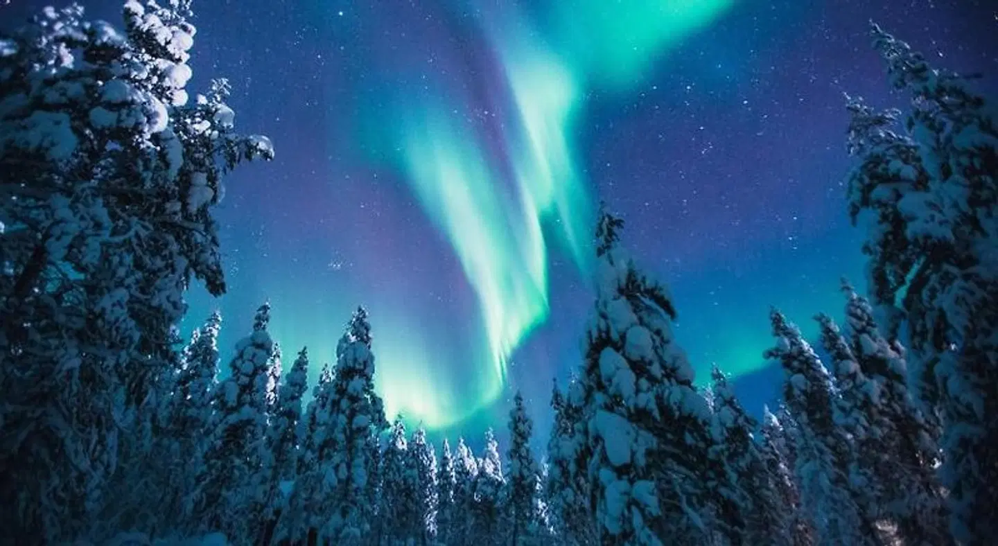 Kakslauttanen Arctic Resort LANDSCAPE
