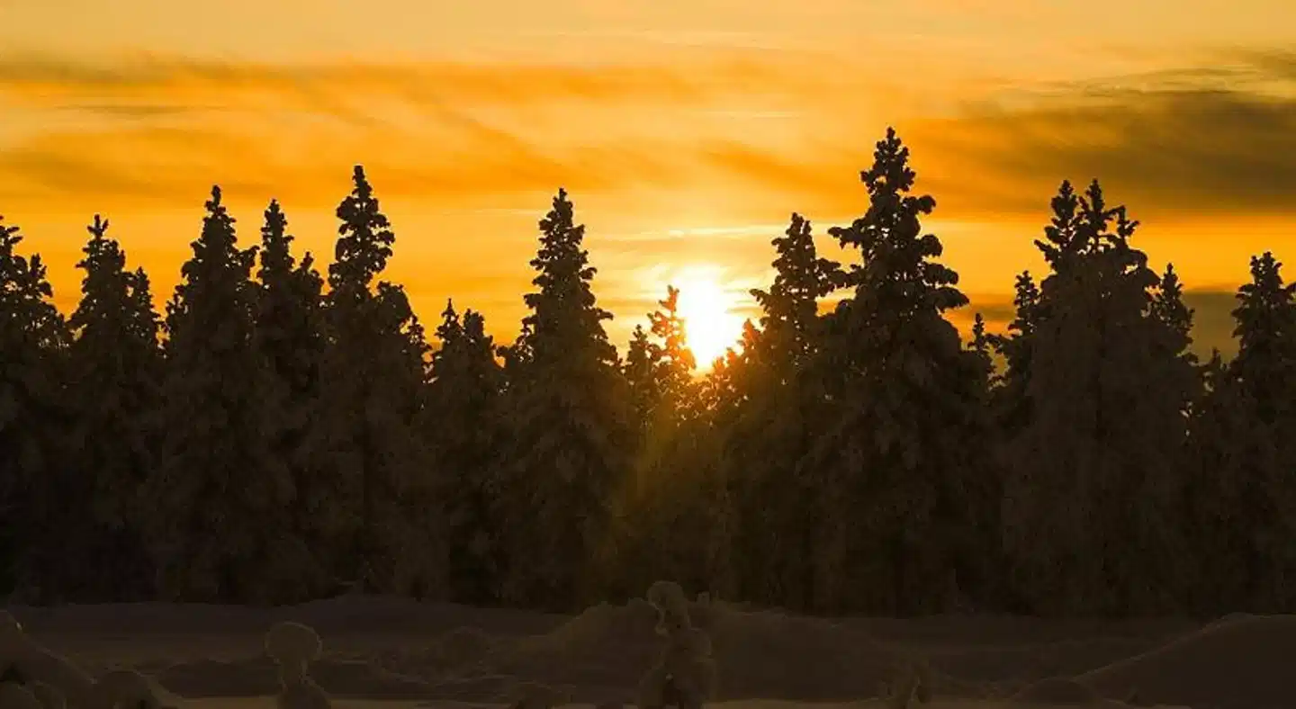 Kakslauttanen Arctic Resort Landschaft