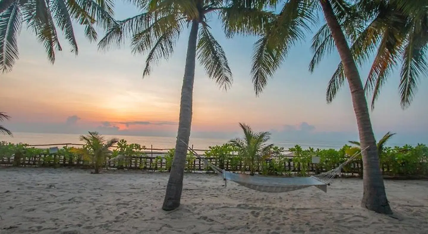 Regent Chalet LANDSCAPE