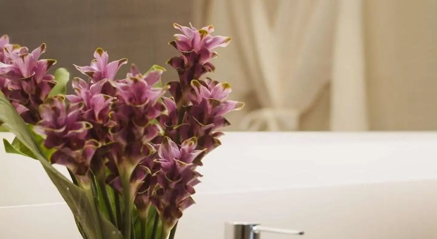 Hyatt Place Bangkok Sukhumvit LANDSCAPE