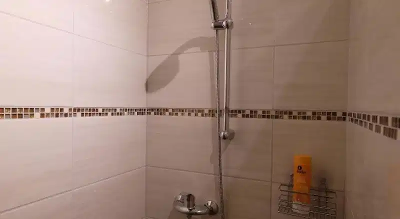 Grüner Kranz – Hotelfoto