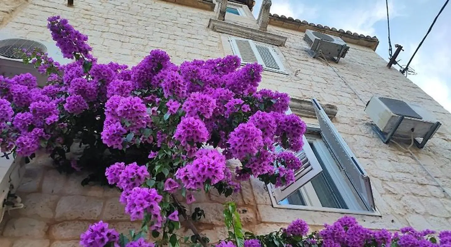 Carol Rooms EXTERIOR