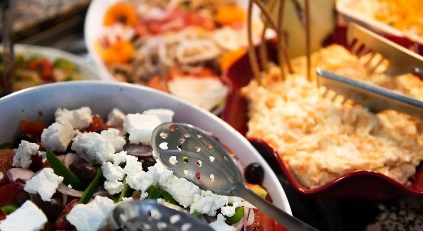 Lido Corfu Sun Tiere