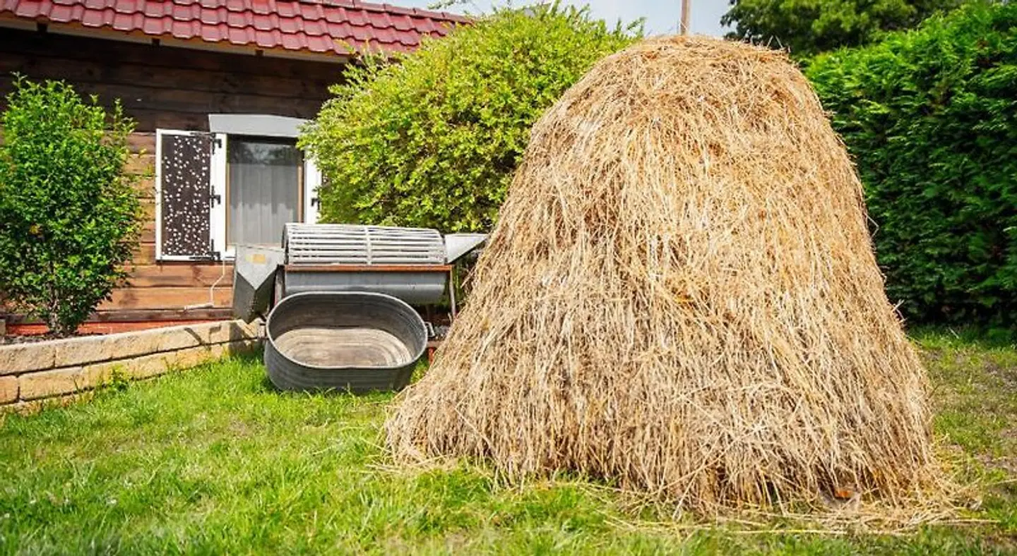 Spreewaldpension Tannenwinkel Tiere