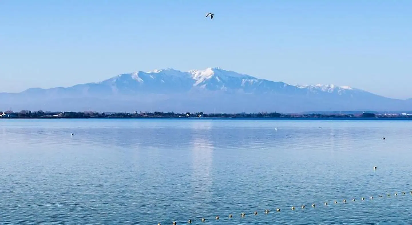 Dali Hôtel Perpignan LANDSCAPE